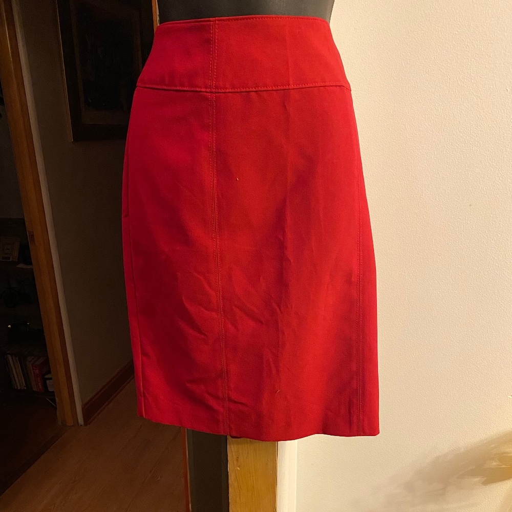 Worthington Skirt